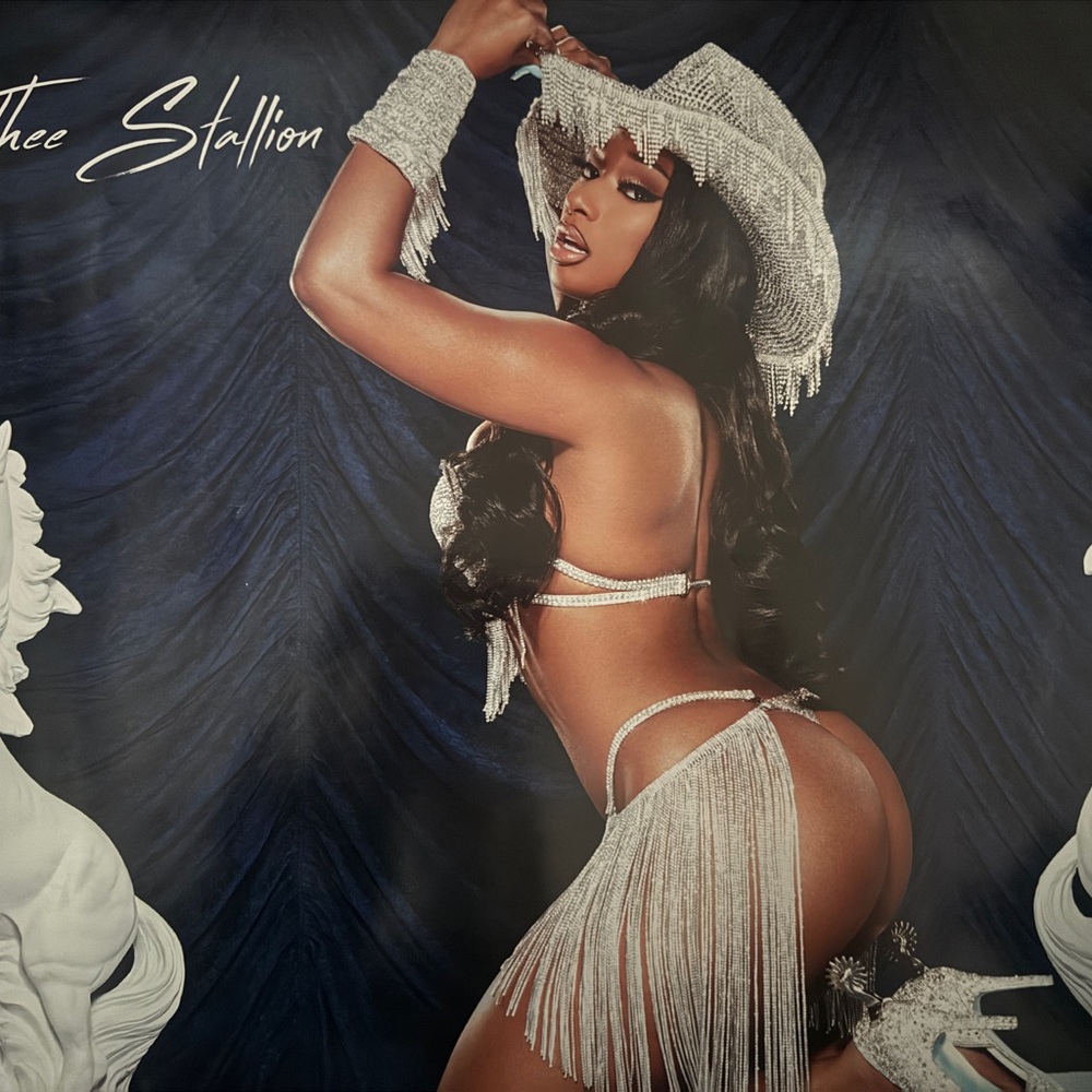 MEGAN THEE STALLION poster